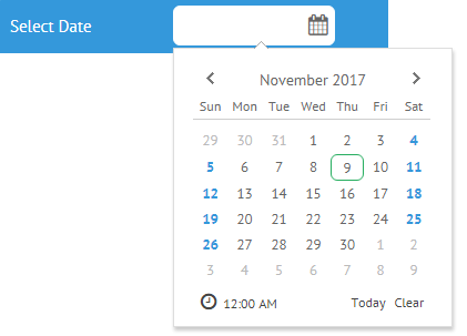 Html Calendar Picker - Liane Ginnifer